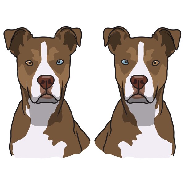 Pitsky Dog Decal, Dog Lover Decor Vinyl Sticker